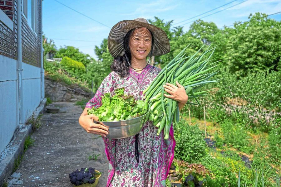 Sayur hijau antara makanan harian baik untuk kesihatan otak, jantung dan keseimbangan hormon wanita.