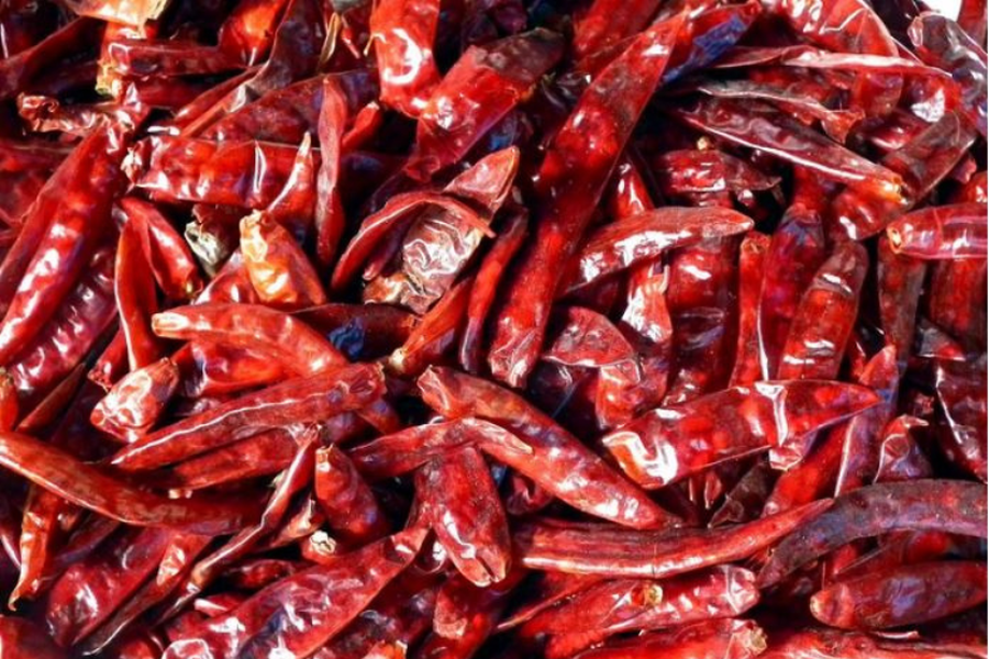 Tahap kepedasan cili kering yang licin berkilat sememangnya pedas menyengat.