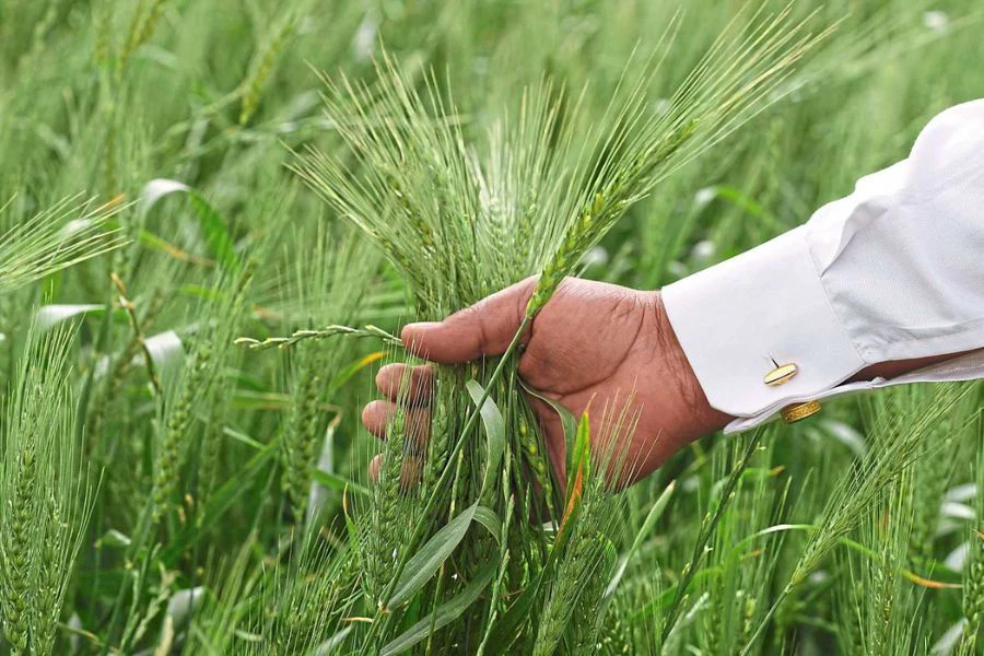 Penggunaan hasil tempatan bukan sahaja dapat mengukuhkan ekonomi negara tetapi membuka lebih banyak peluang kepada para petani memasarkan produk mereka.