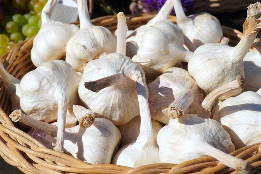 Bahan masakan seperti bawang putih turut mempunyai khasiat tersendiri.