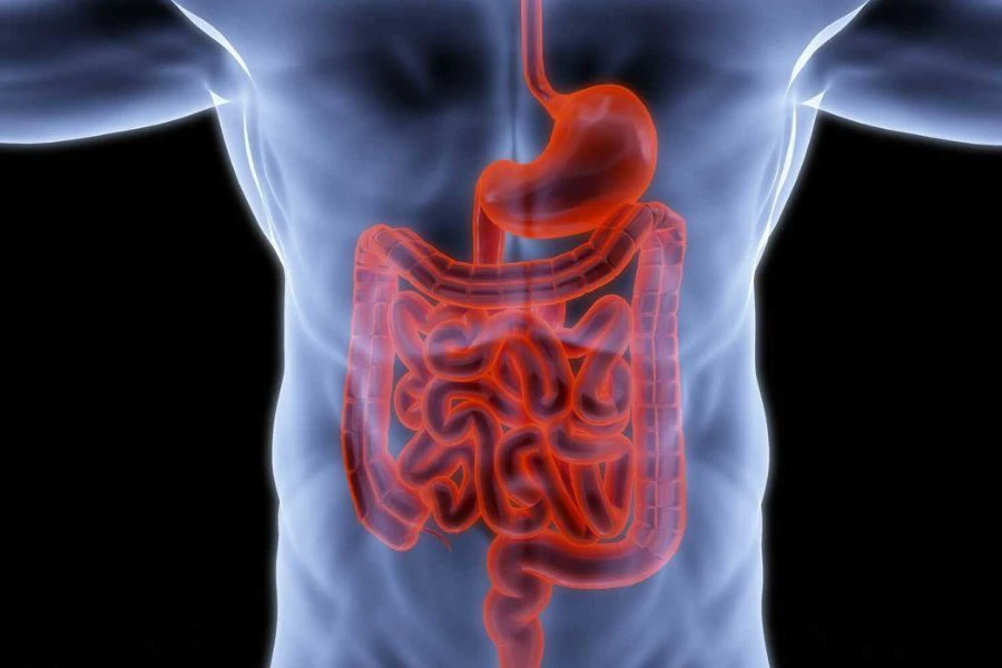 Ketumbar yang tinggi kandungan serat mampu melegakan masalah pencernaan dan mencegah masalah penghadaman.