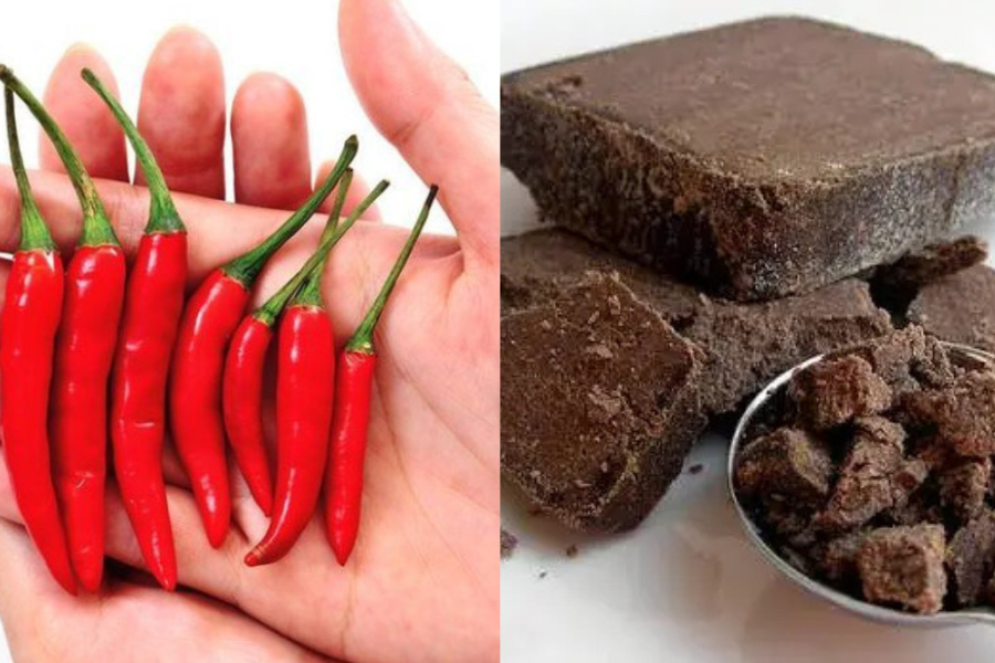 Cili padi dan belacan merupakan bahan penting dalam penyediaan sambal terasi.