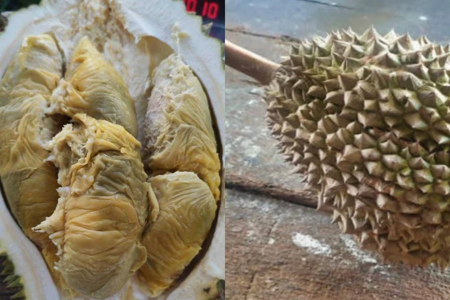 Durian Tupai King didakwa memiliki aroma dan tekstur memikat.