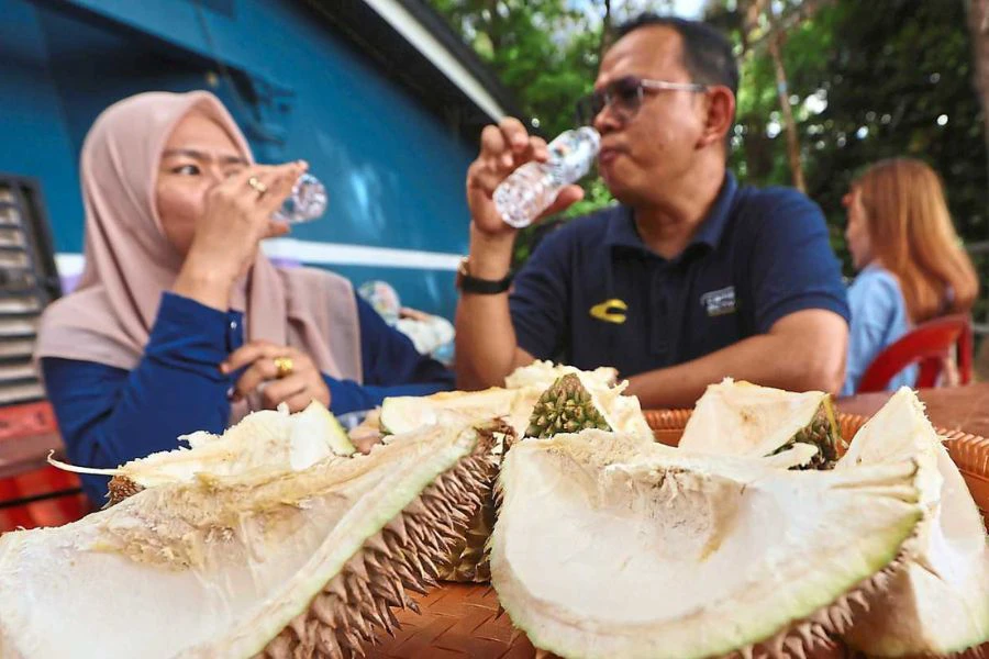 Catu pengambilan durian.