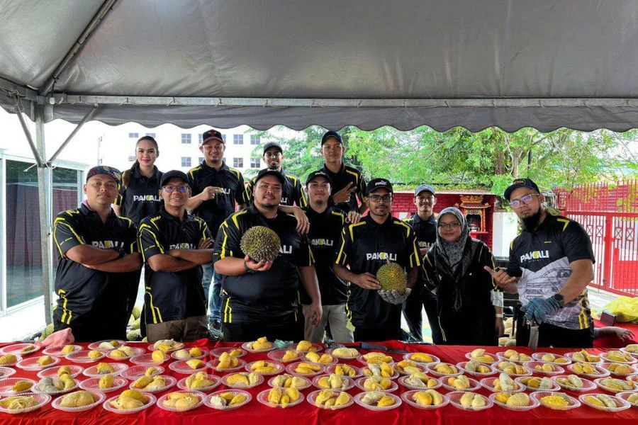 Durian-durian segar ini dipilih sendiri dari kebun sekitar Pahang dan Johor.