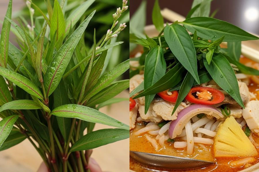 Daun kesum juga digunakan sebagai ulam dalam masakan.