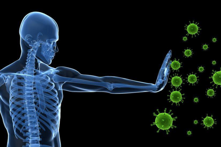 Buah naga kaya dengan vitamin C yang berfungsi untuk meningkatkan sistem imunisasi badan.