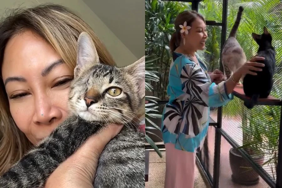 Wanita ini juga aktif menyelamatkan kucing jalanan dan menjadi ibu kepada 16 anak bulus kesayangan
