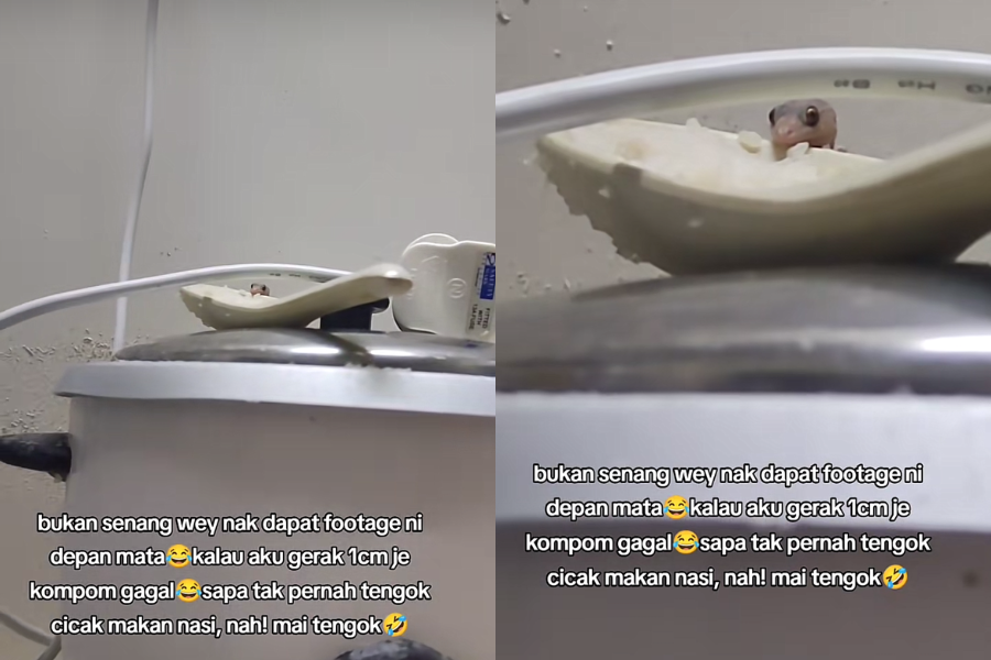 Video yang dikongsi itu meraih 700,000 tontonan di laman TikTok.