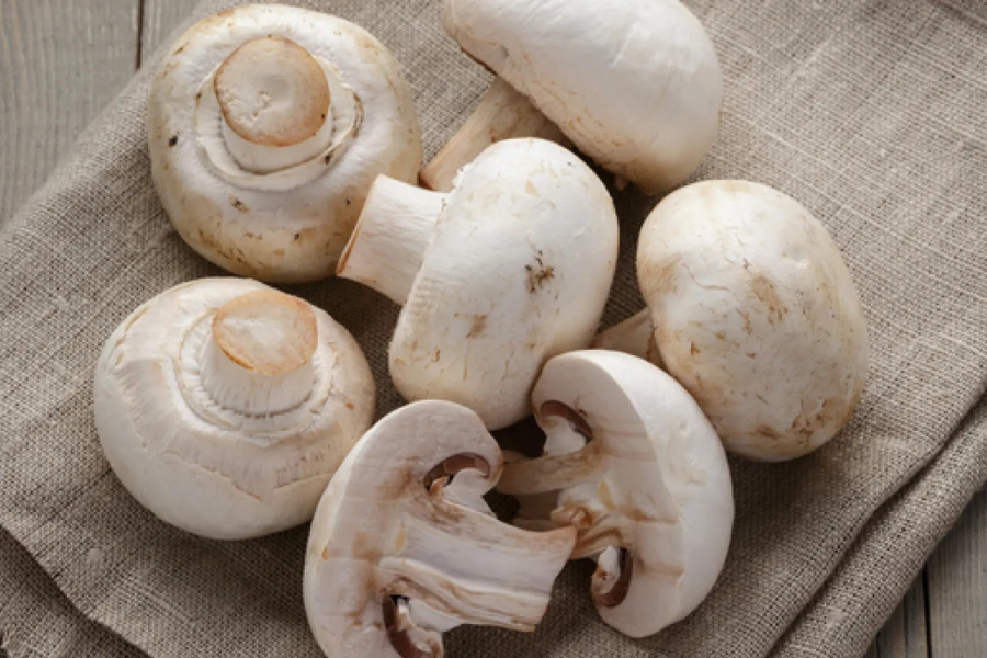 Cendawan adalah sumber nutrien yang menyokong sistem imun.