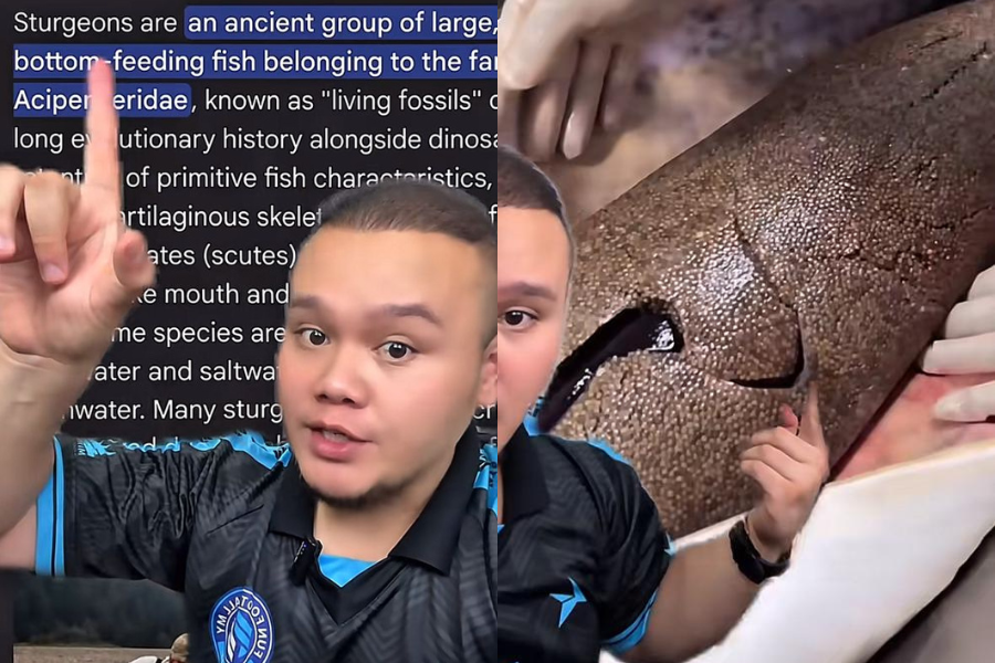 @dr1share berkongsi khasiat caviar di laman TikTok.