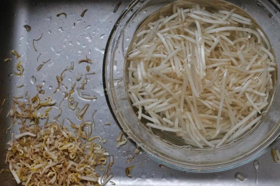 Menukar air di dalam bekas setiap hari adalah penting bagi mengelakkan bakteria.