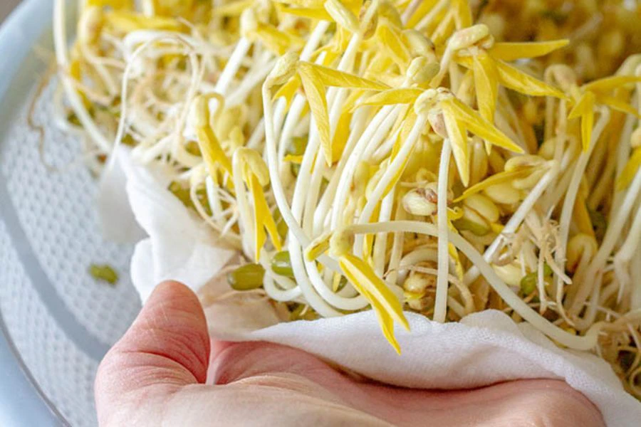 Taugeh boleh disimpan di tempat kering jika mahu gunakan dalam masa terdekat.