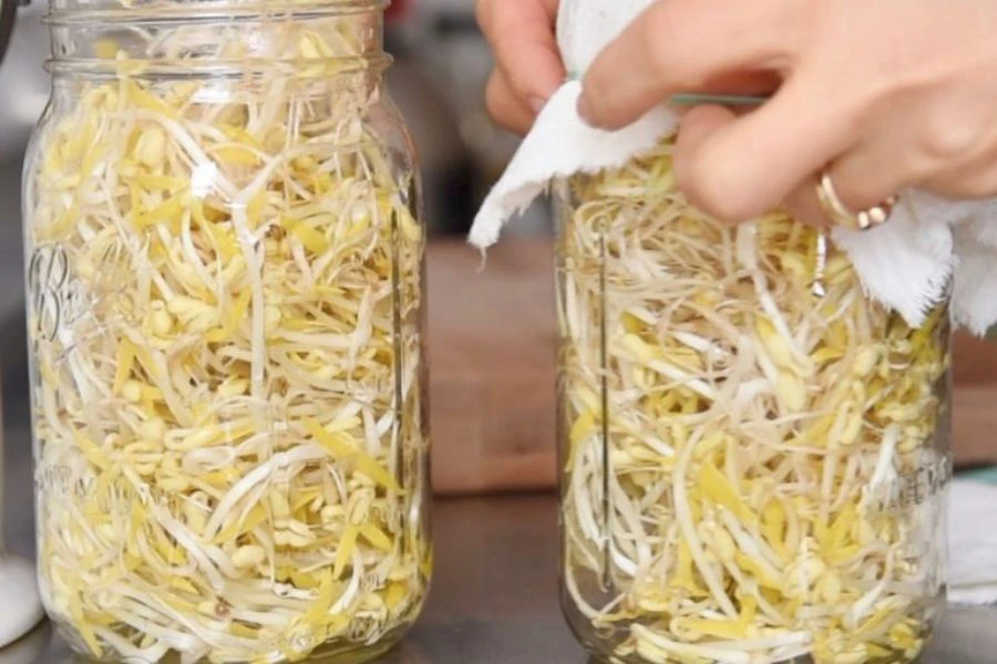 Bekas bertutup rapat boleh mengelakkan taugeh terdedah udara dan bau lain.