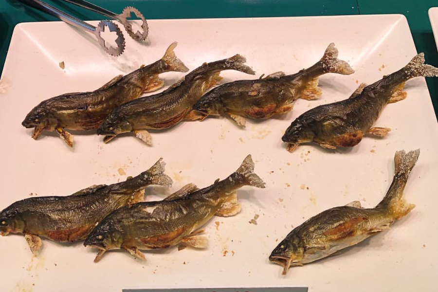 Ikan Ayu atau juga digelar sweet fish (ikan manis) merupakan sejenis ikan yang dianggap istimewa kerana memiliki rasa isinya yang manis seperti buah tembikai.