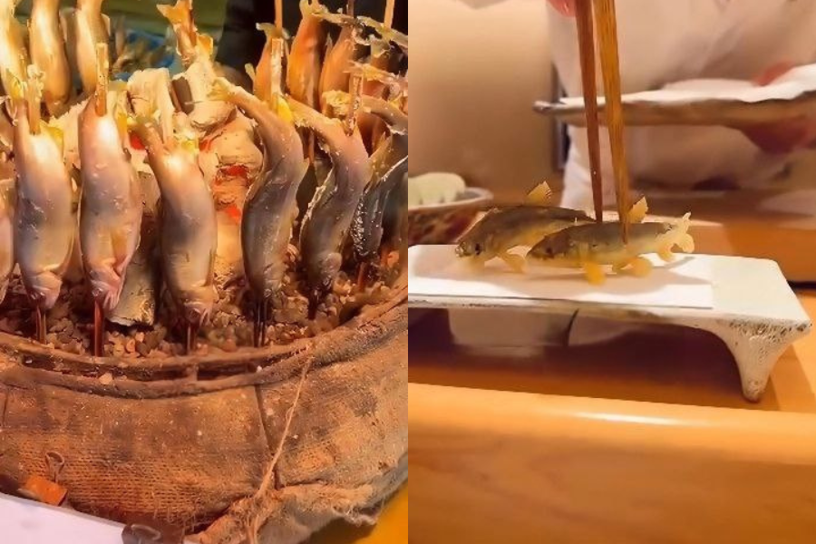 Cara memasak ikan ayu sama ada dibakar bersama garam shioyaki atau digoreng untuk dijadikan tempura.