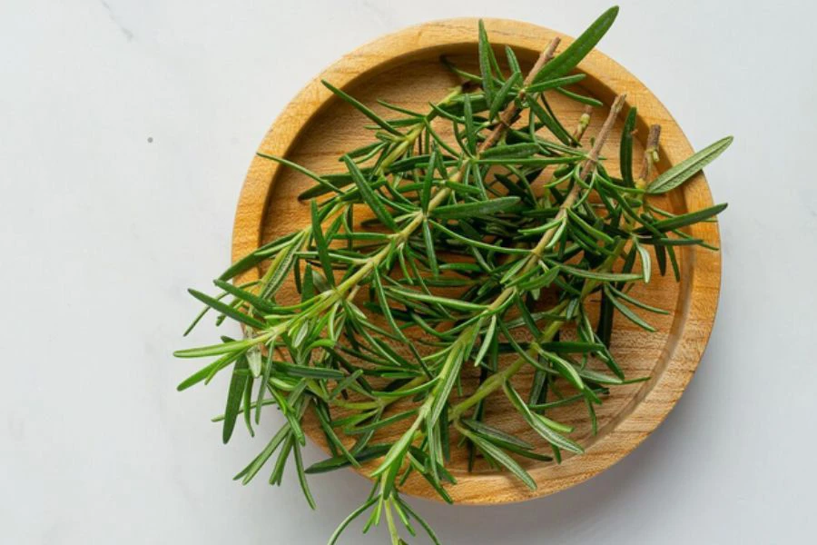 Rosemary memiliki ciri-ciri herba berdaun halus dan bau segar.