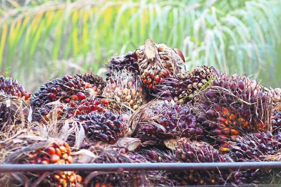 Industri Perladangan dan Komoditi turut diberi perhatian.