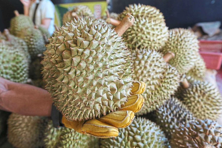 Pengambilan buah durian secara berlebihan boleh meningkatkan tahap kolesterol dalam darah.