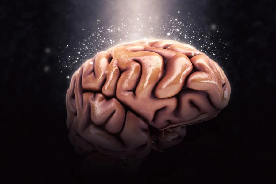 Resveratrol dapat membantu meningkatkan peredaran darah ke otak.