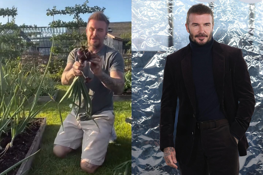 BINTANG legenda bola sepak dunia ini menghabiskan hari-harinya dengan bercucuk tanam,