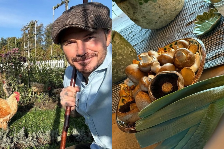 BEBERAPA hasil tanaman seperti cendawan dan sayuran yang ditanam David Beckham di kebunnya.
