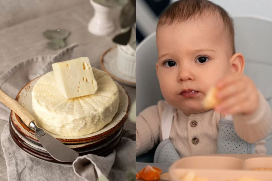 Keju lembut dan tauhu kukus adalah pilihan sumber protein yang mudah dikunyah