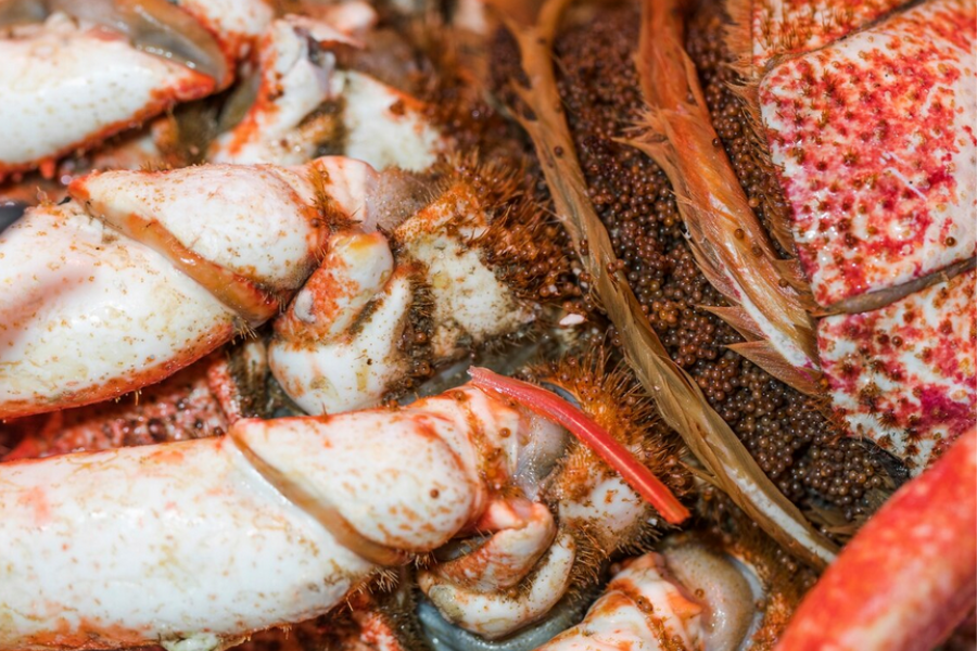 Jika mahukan ketam dengan isi banyak, cari yang bertelur.