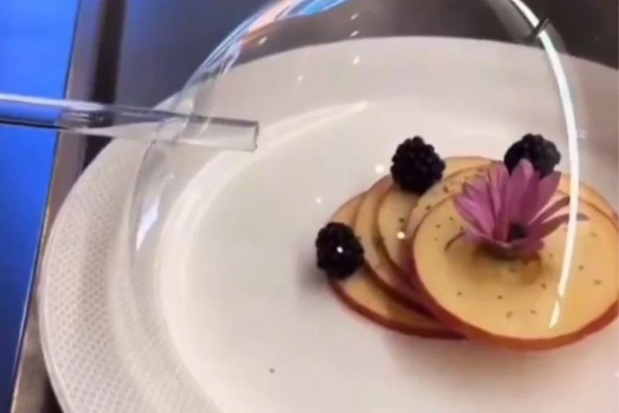 Salah satu restoran bertaraf Michelin di Eropah mendapat kecaman kerana sajian epal berasap yang mahal.