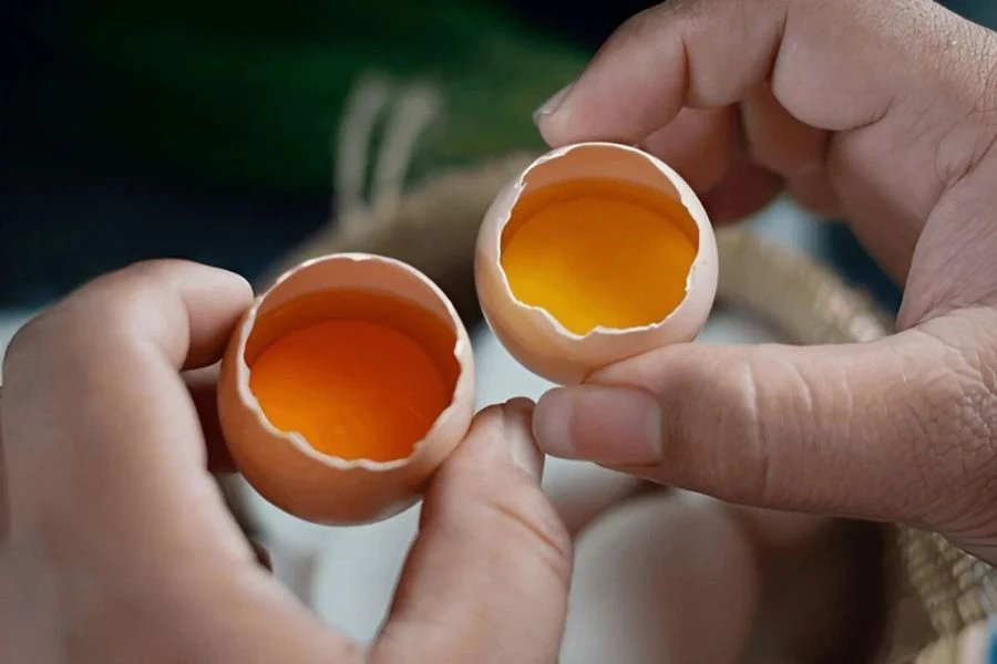 Telur yang masih elok tidak akan berbau walaupun belum dipecahkan lagi.