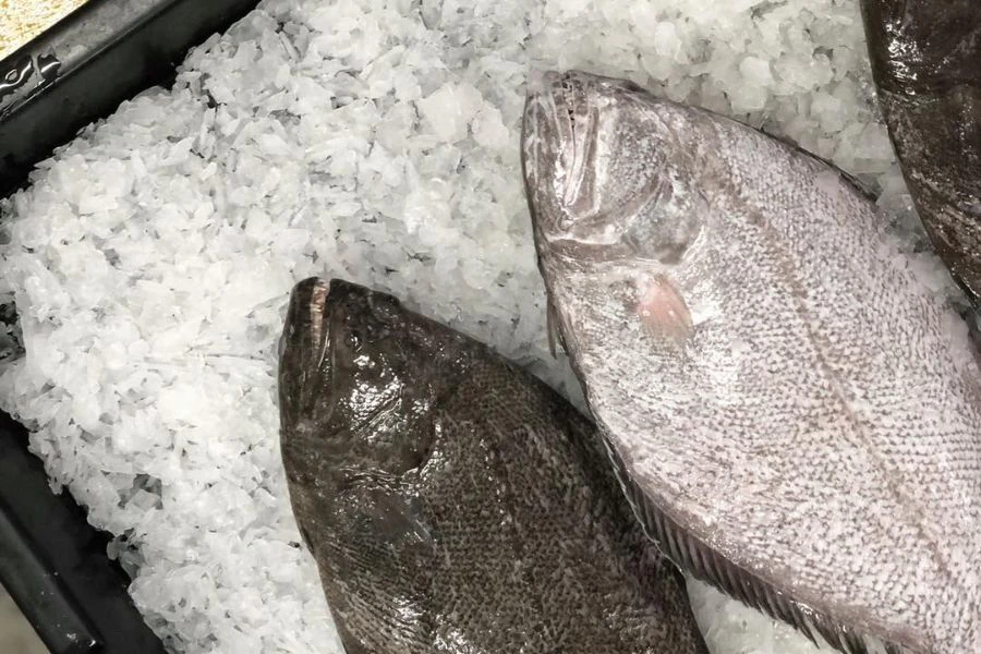 Ikan sebelah ini termasuk dalam kategori Pleuronectiformes iaitu ikan berbadan leper dan mata di satu sisi badan sahaja.