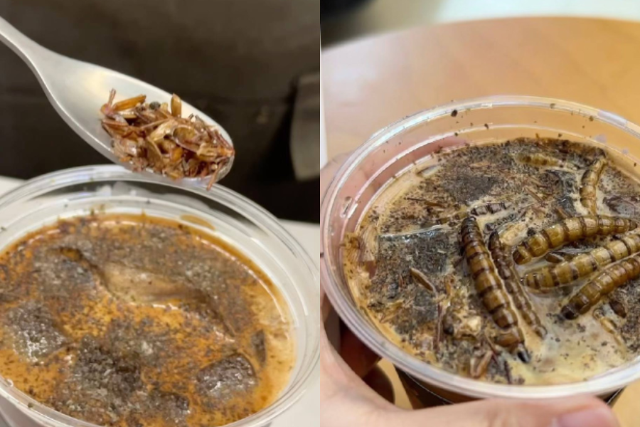 Kopi serangga menjadi menu tarikan pelanggan di muzium berkenaan.