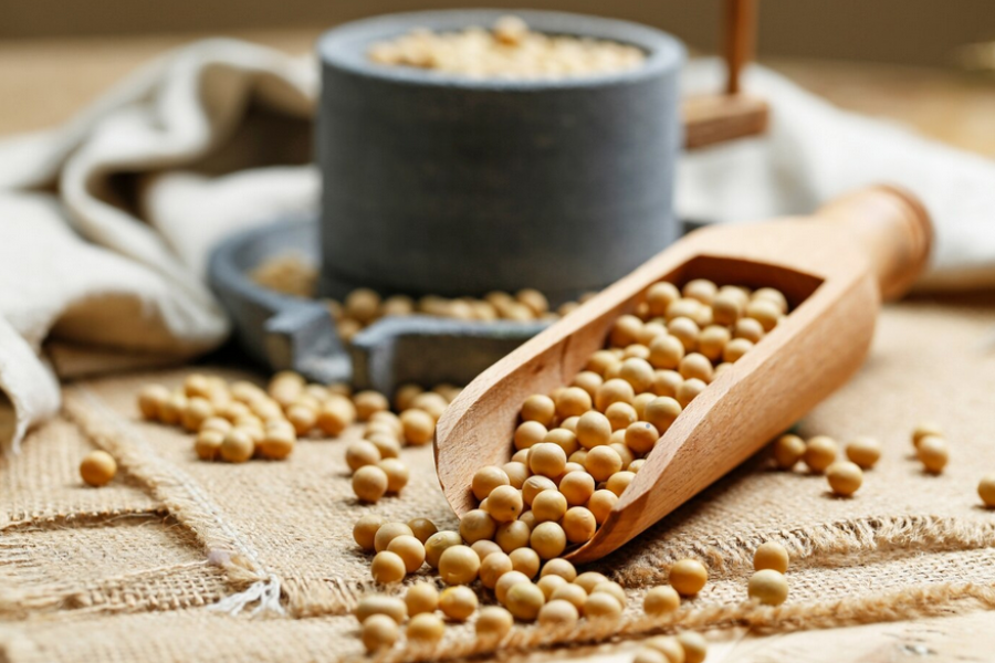 Pengambilan air soya, tofu, tempe perlu dihadkan lebih lagi dalam kalangan wanita TTC.