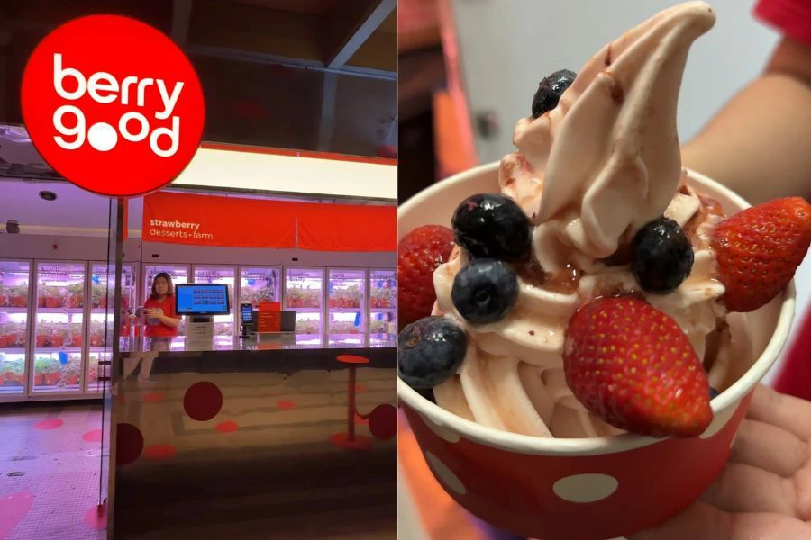 Antara pilihan pencuci mulut paling popular iaitu Yogufrosty.