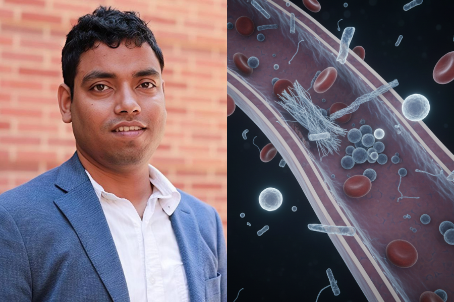 Ketua penyelidik Sanjay Mohanty mendakwa gula-gula getah terutama jenis sintetik mengandungi polimer berasaskan petroleum yang dilepaskan ke dalam mulut semasa dikunyah.