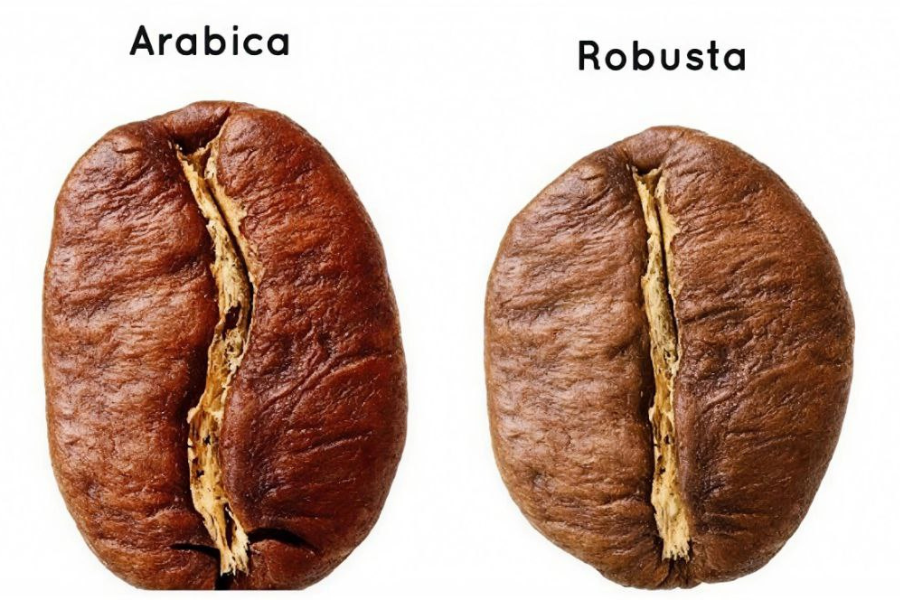 Kopi Saigon menggunakan biji kopi robusta yang diimport dari Vietnam. 