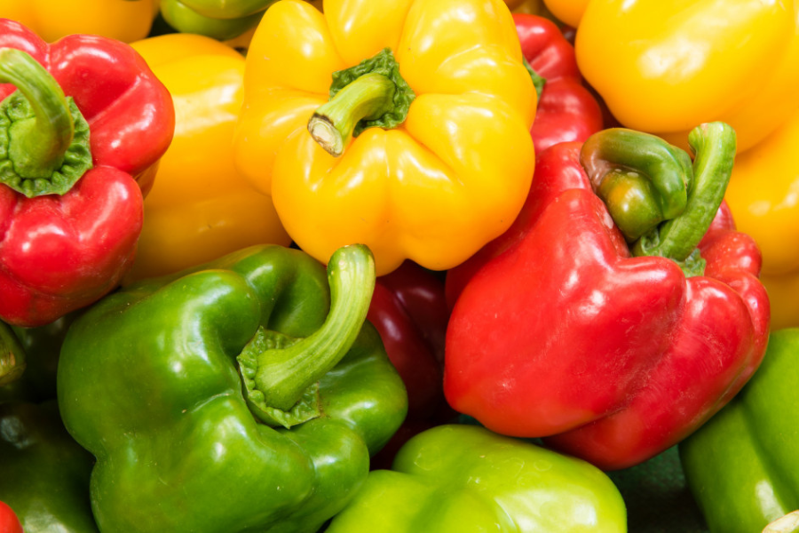 Setiap lada benggala meberikan rasa berbeza.