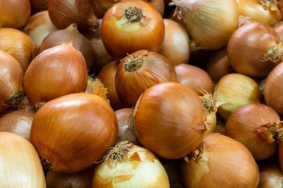 Bawang yang baik mempunyai kulit sedikit kering dan nipis.