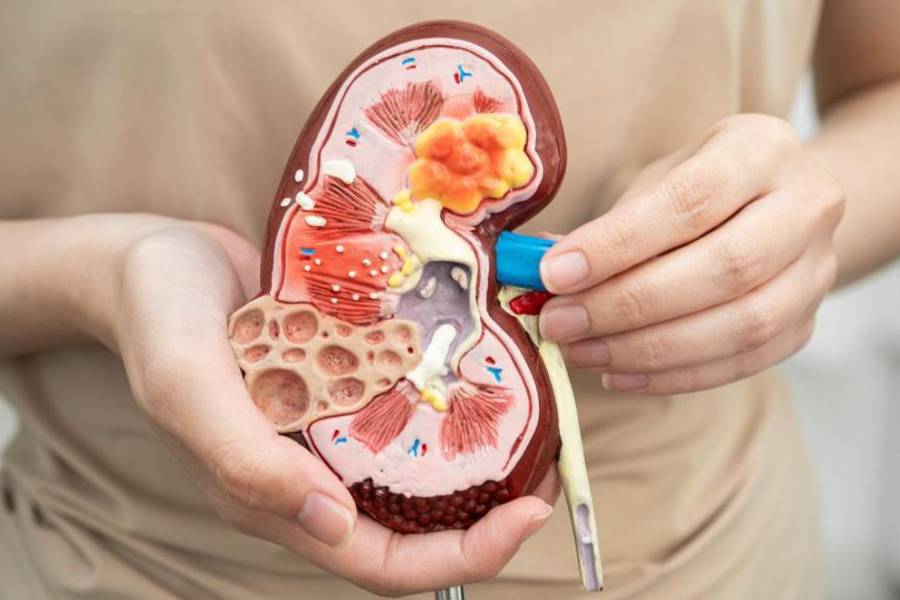 air rebusan jagung bersifat antiseptik dan diuretik.