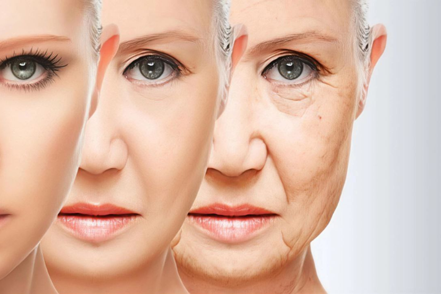 Kandungan antioksidan membantu melawan radikal bebas dan melambatkan proses penuaan.