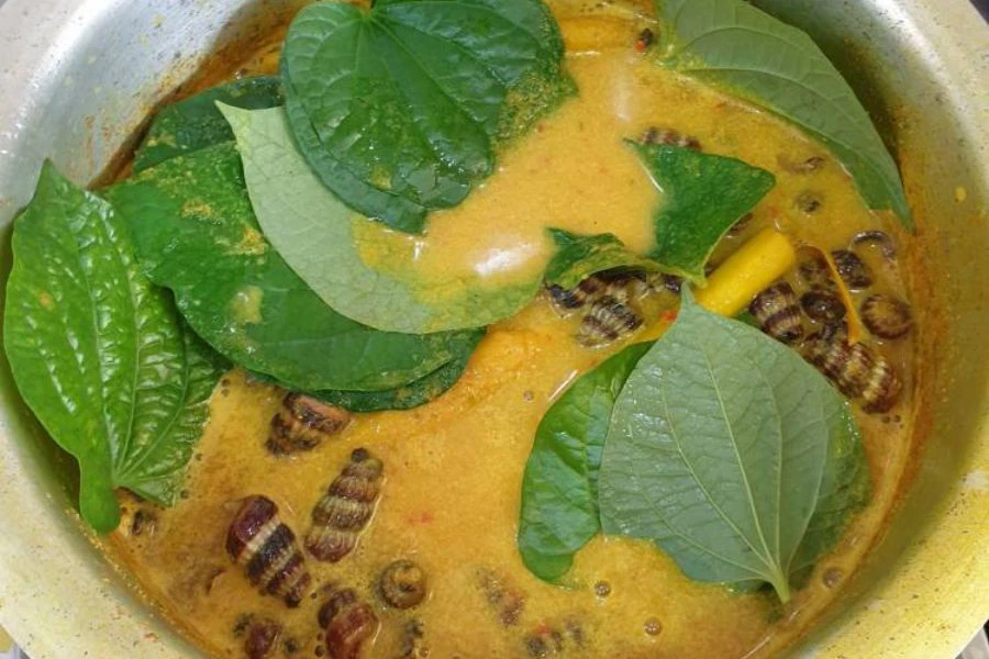 Daun kaduk juga terkenal dalam masakan Melayu.