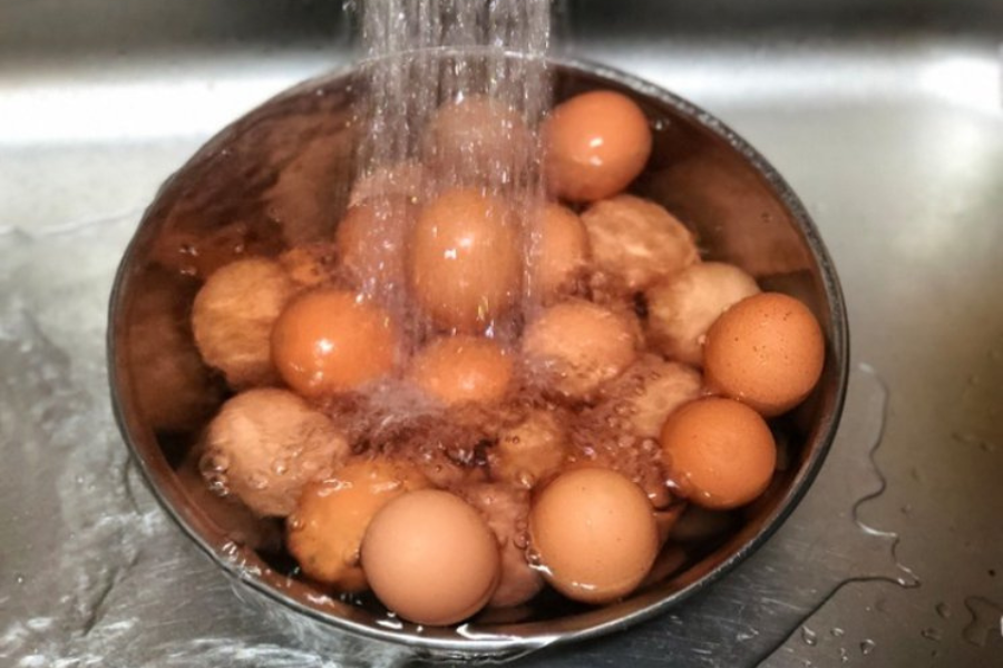 Pentingnya bersihkan telur dengan betul sebelum dimasak.
