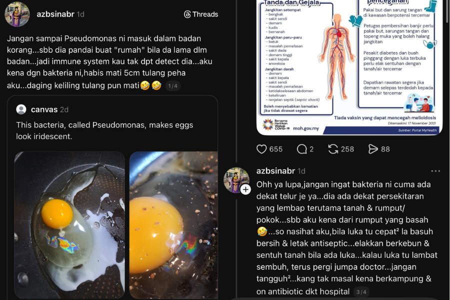 Bakteria pseudomonas menyerang bahagian tulang.