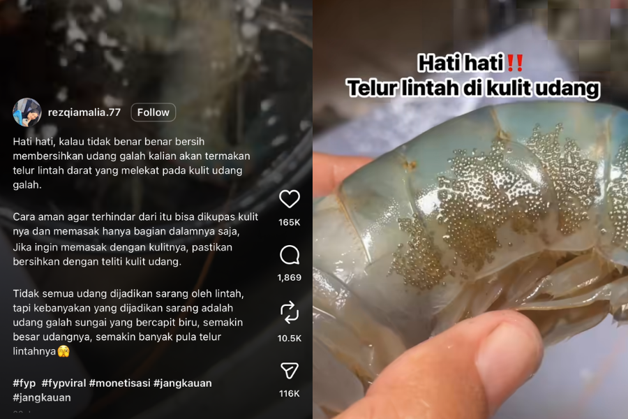 Telur lintah ini bersaiz sangat kecil dan tidak begitu ketara dengan mata kasar.