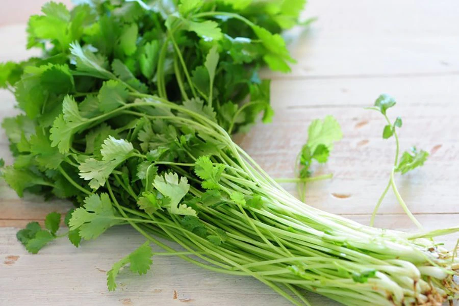 Rendam daun ketumbar dalam balang plastik dapat bantu kekalkan kesegaran dan tahan lama.