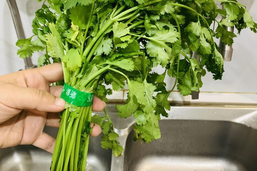 Daun ketumbar yang diletakkan dalam balang perlu ditutup rapat dengan plastik.