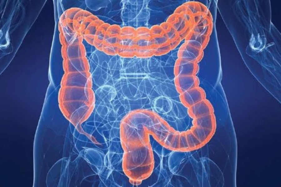 Biji sawi kaya dengan serat yang membantu penghadaman.