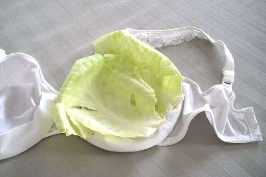 Daun kubis sejuk yang diletakkan pada payudara dapat membantu mengurangkan bengkak. 