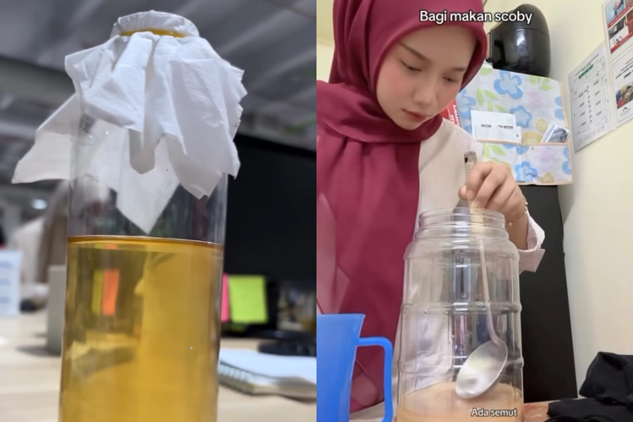 Perkongsian wanita ini tentang scoby diternak olehnya mendapat perhatian.