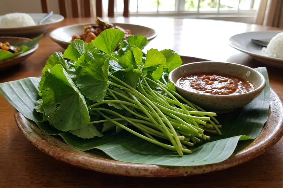 Ulam pegaga baik untuk melancarkan peredaran darah, meningkatkan daya ingatan, mengurangkan stres dan baik untuk kecantikan kulit.